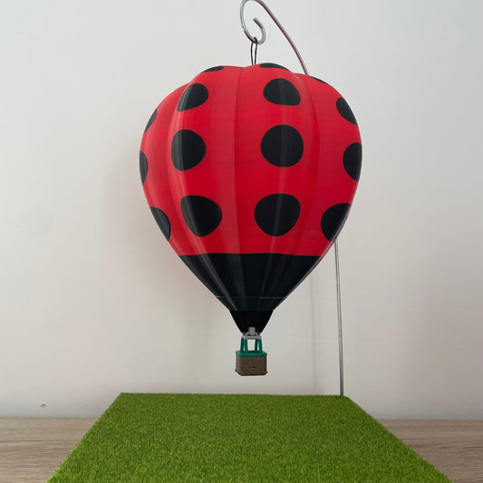 Montgolfière 3D F-GOCP